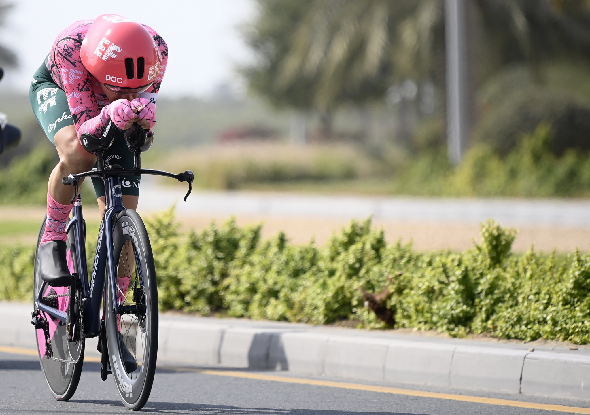 Bissegger wins individual time trial to seize UAE Tour lead