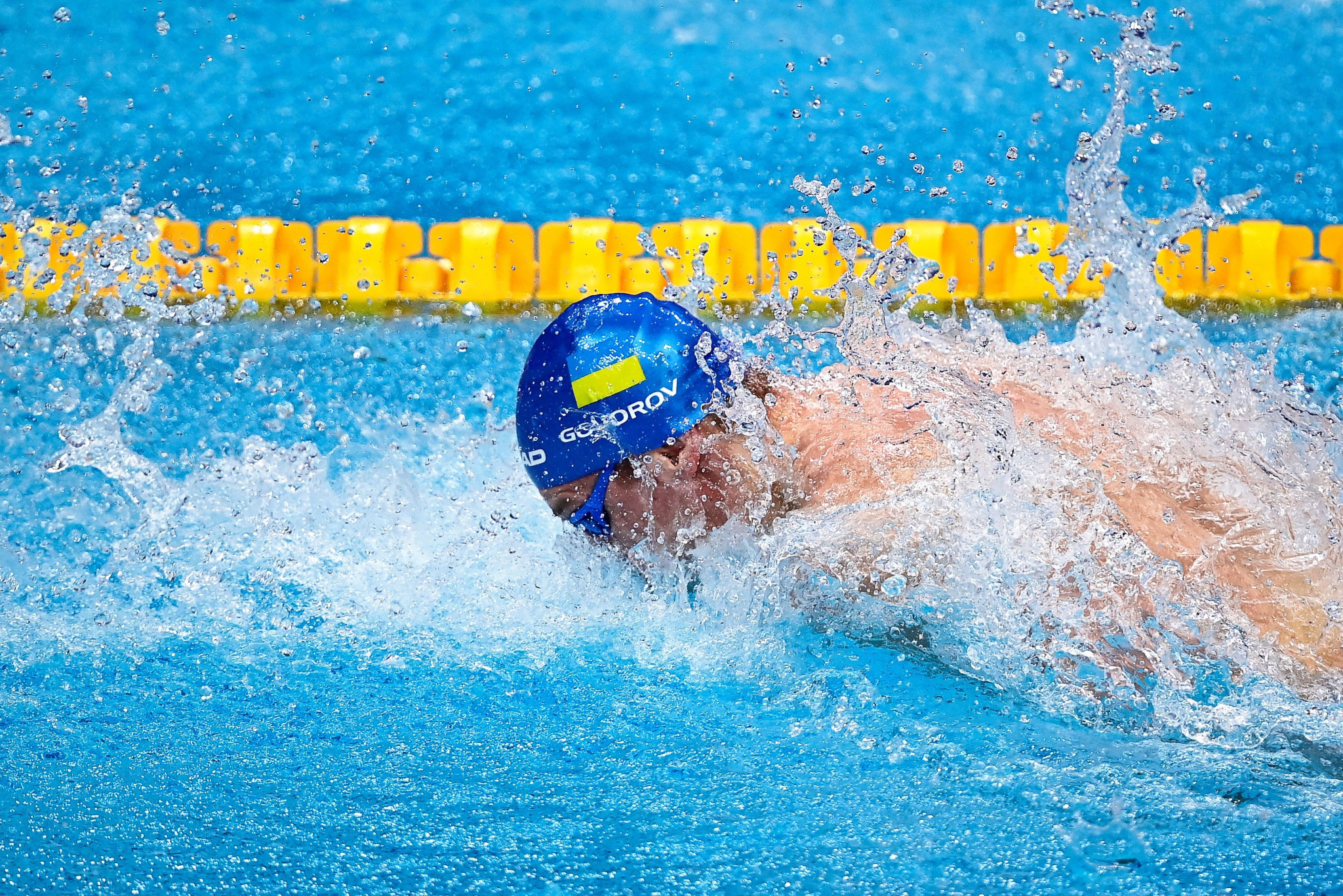 The Ukrainian Swimming Federation has urged FINA to 