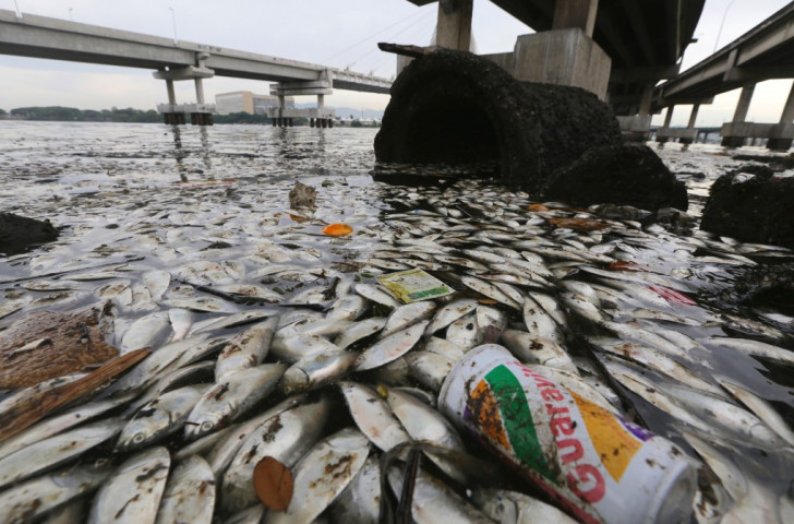 Concerns remain regarding the state of Guanabara Bay, the venue for sailing events at Rio 2016