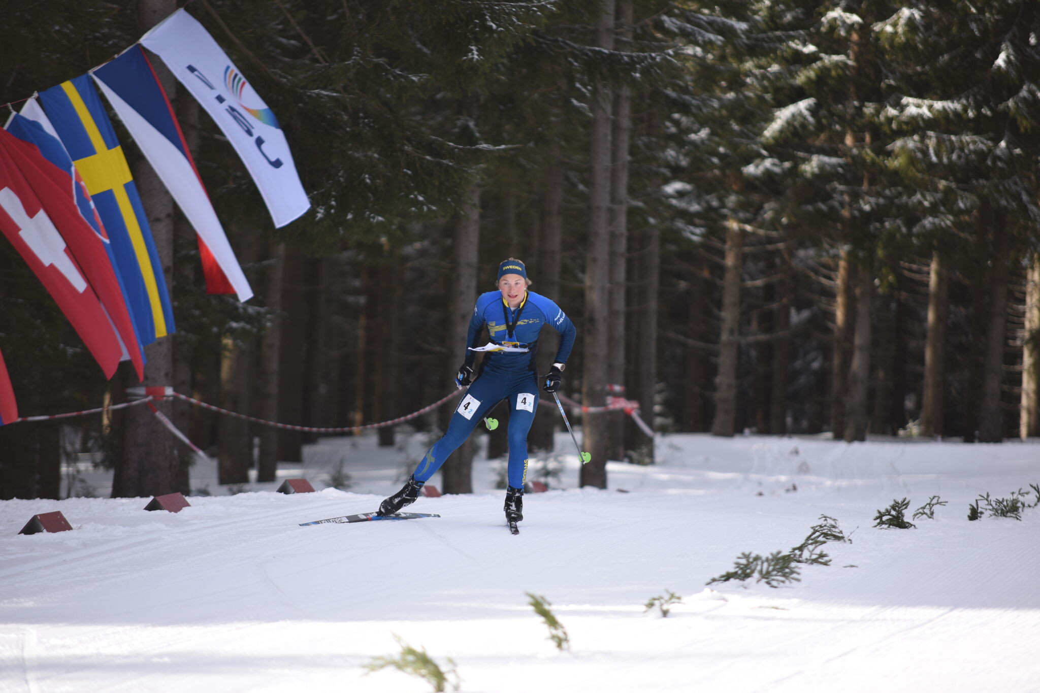 Russia win three golds to top FISU Ski Orienteering Championships table