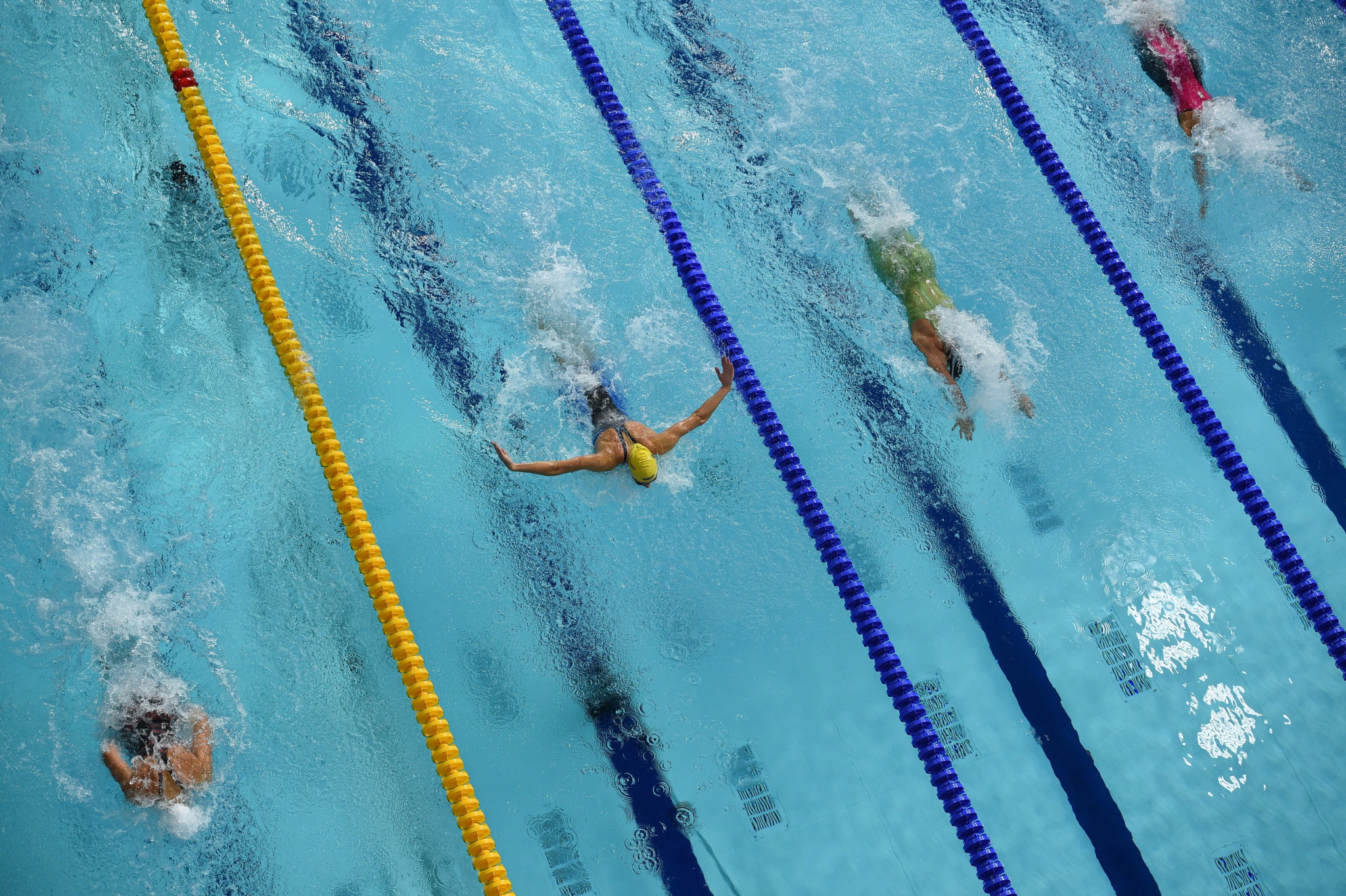 European Swimming League bars Russian and Belarusian athletes but committees remain unchanged