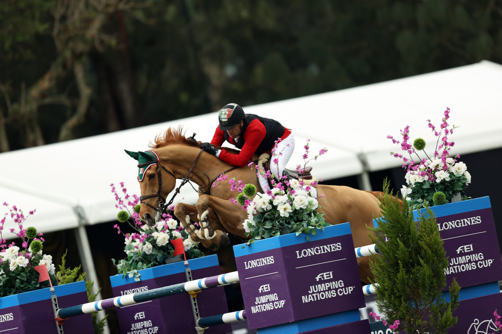 Hosts Mexico claim victory over Canada and US at the FEI Jumping Nations Cup