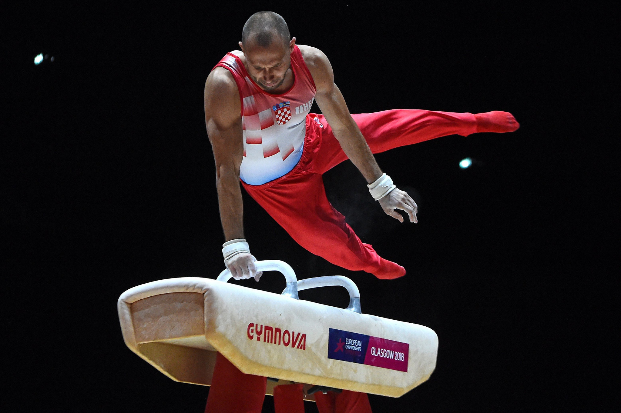 Robert Seligman achieved gold in the men's pommel horse ©Getty Images