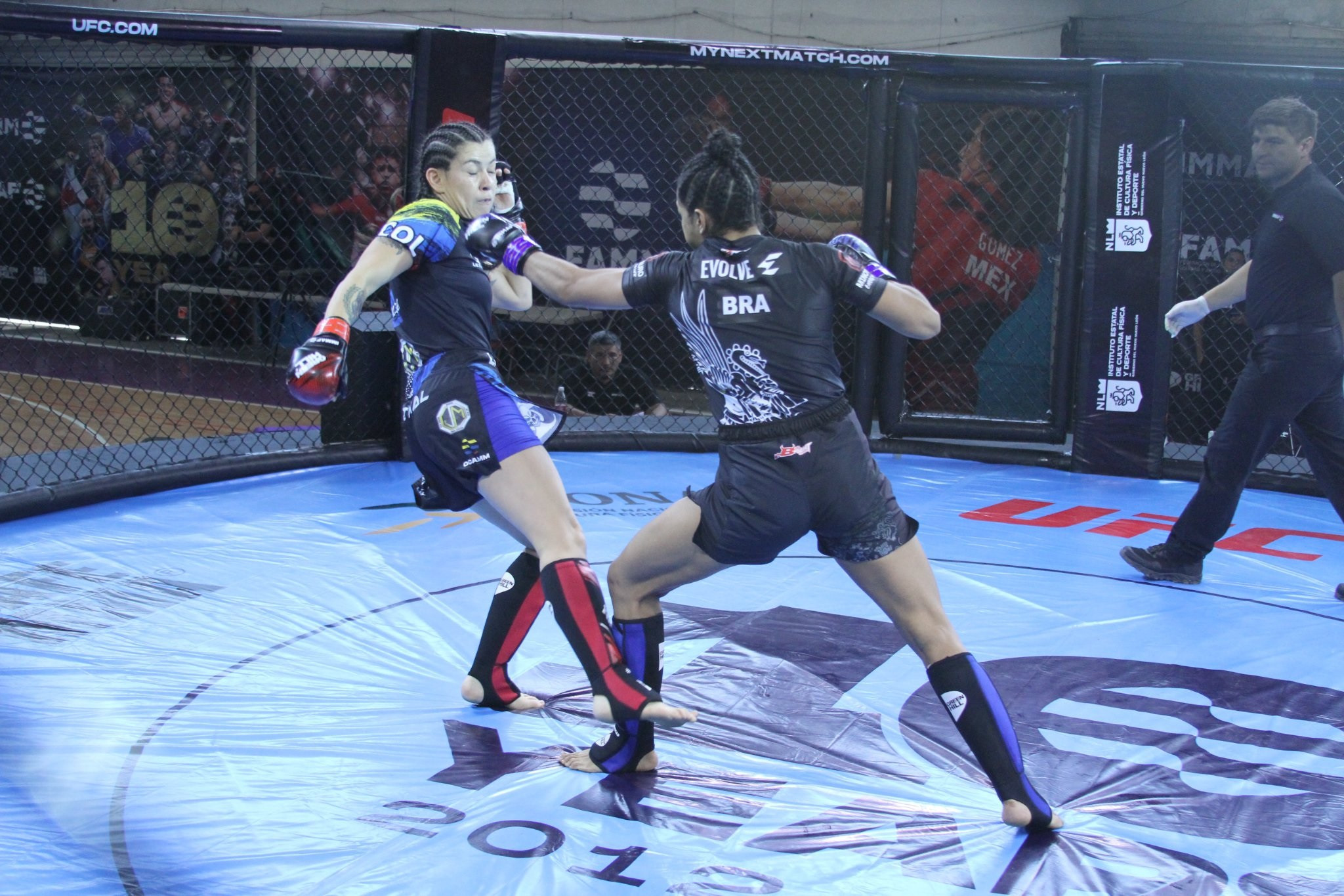 Brazil enjoyed three wins on the second day of the IMMAF Pan American Championships in Monterrey ©IMMAF