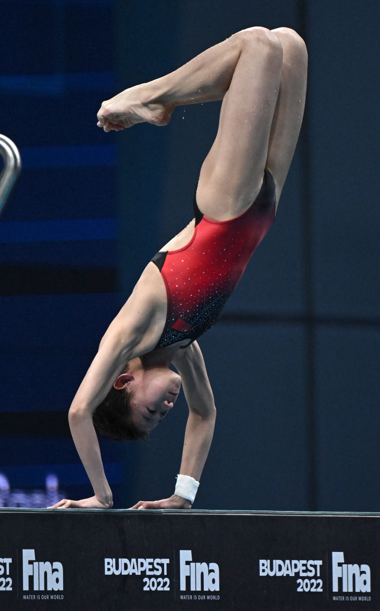 Olympic champion Quan Hongchan of China was her compatriot Chen Yuxi's closest challenger in the women's 10m platform preliminary round and semi-final ©Getty Images