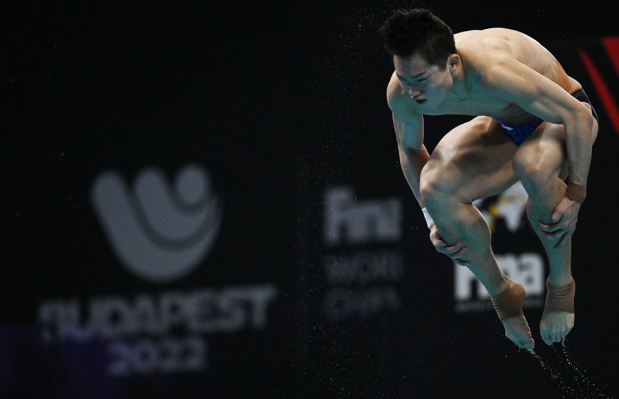 China's Wang Zongyuan triumphed by almost 70 points in the men's 3m springboard final ©Getty Images