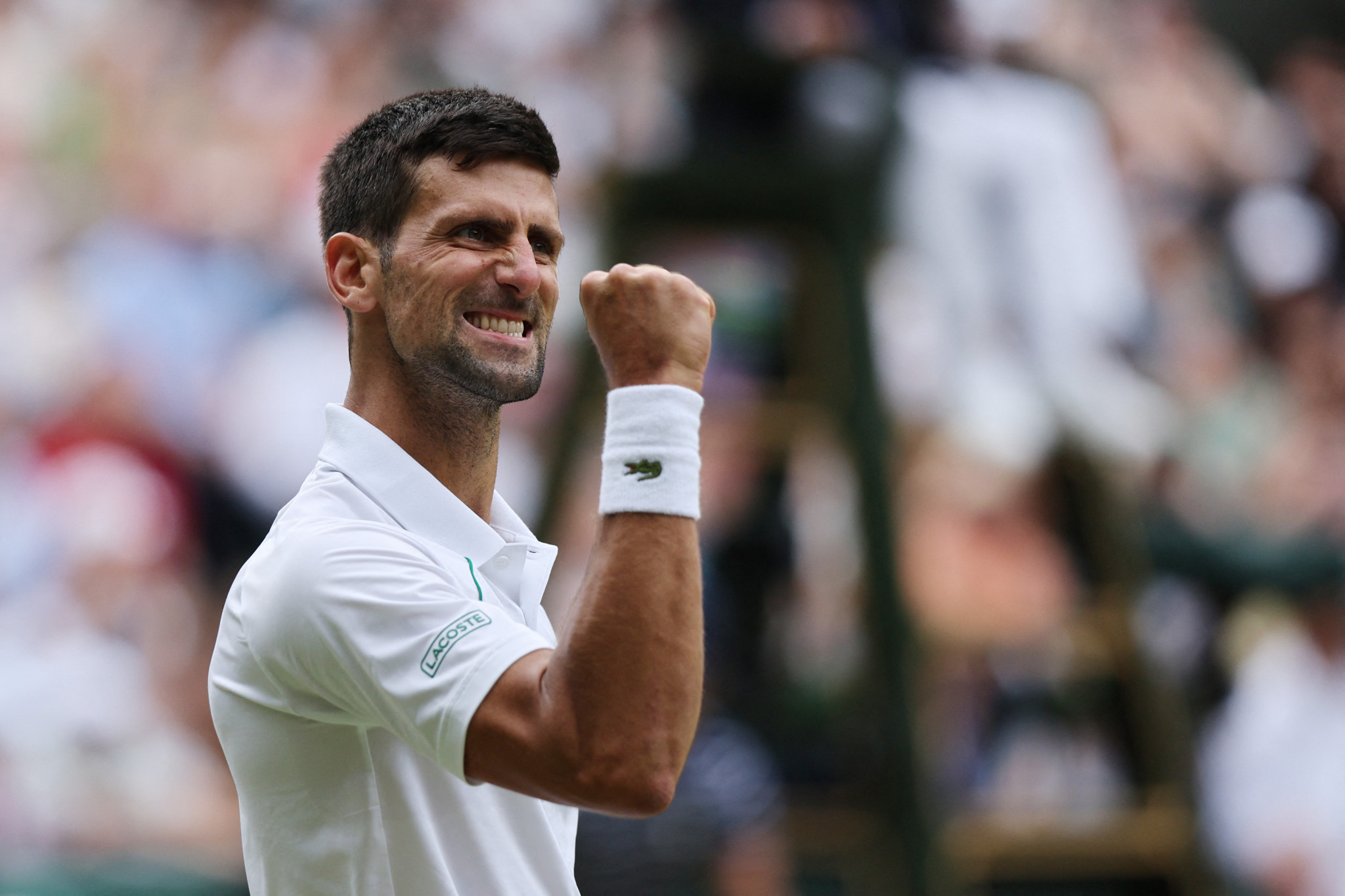 Novak Djokovic is into the Wimbledon semi-finals, following a win over Jannik Sinner ©Getty Images