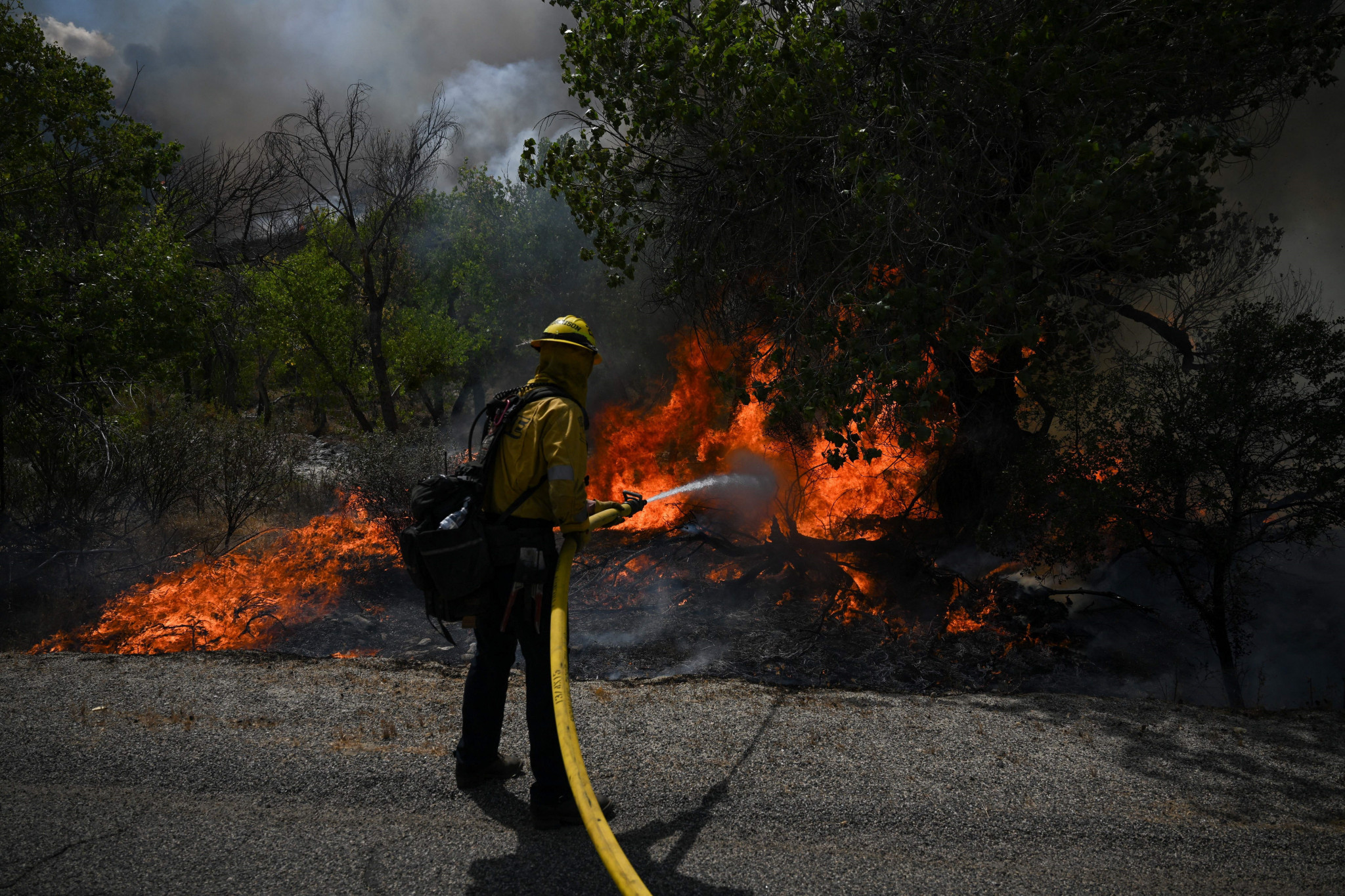 Wildfires have been wreaking havoc in California as a result of extreme heat ©Getty Images