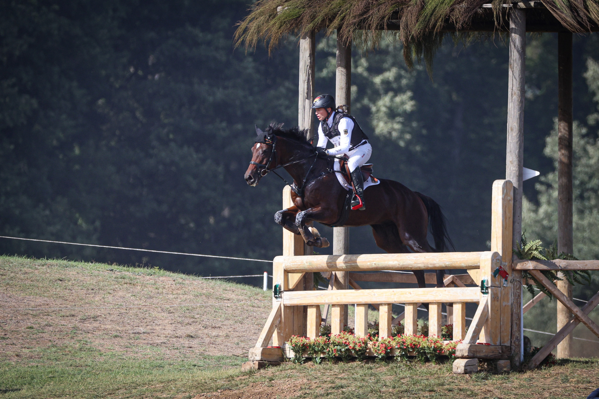 Bach visits FEI World Eventing Championships on good day for Germany