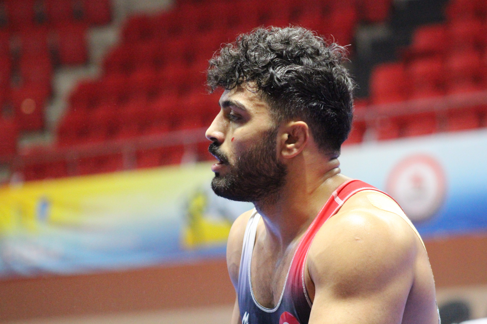Turkey now have four gold medals in wrestling ©FISU