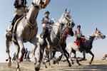 UAE withdraws appeal against equestrian suspension 