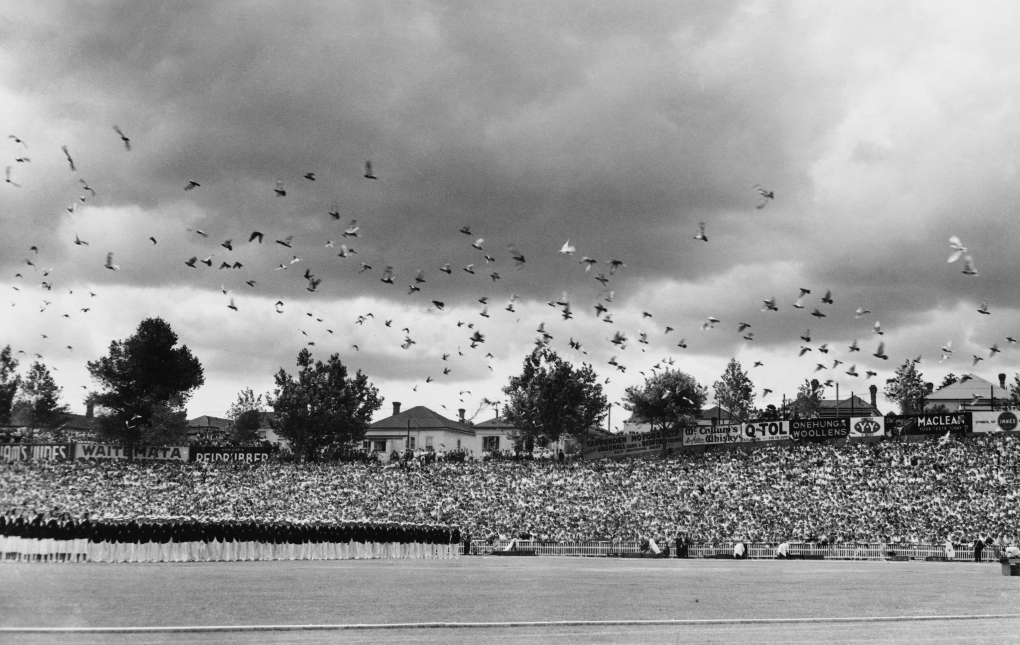 The 1950 British Empire Games in Auckland New Zealand were held in February ©Getty Images