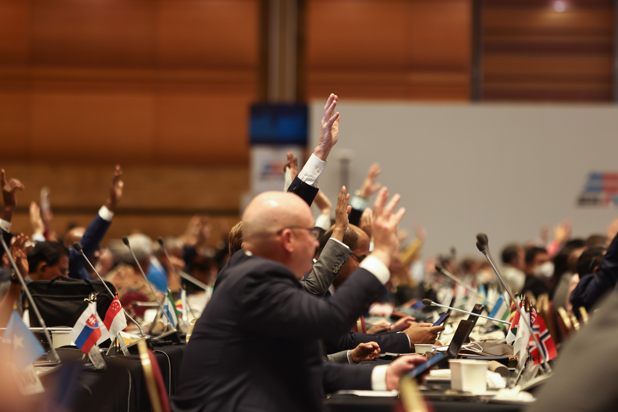 ANOC members voted by a show of hands to approve a proposal to ensure the organisation's Athletes' Commission has at least one man and one woman from each continent ©ANOC