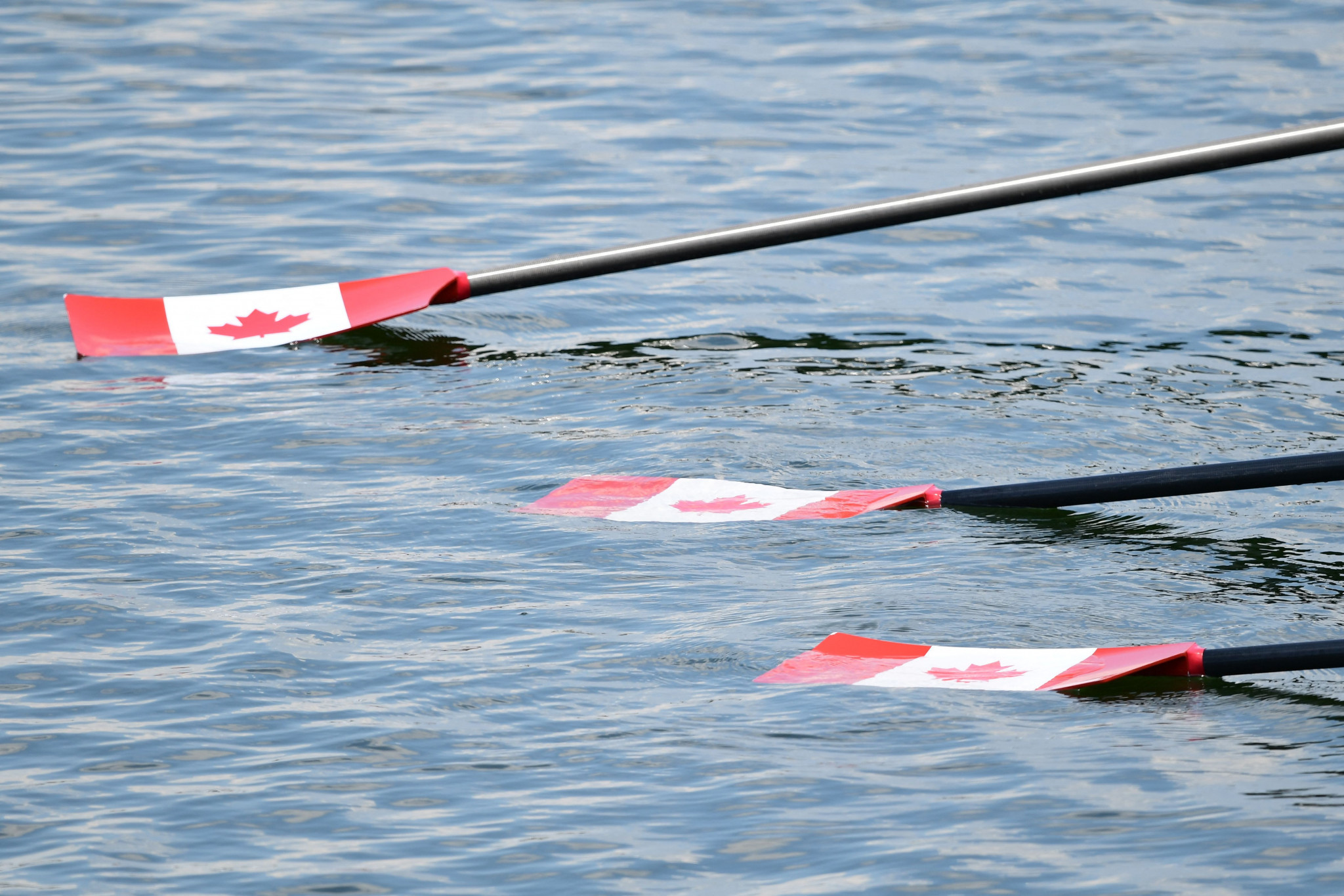 Canada Rowing Aviron has agreed to join Abuse-Free Sport ©Getty Images
