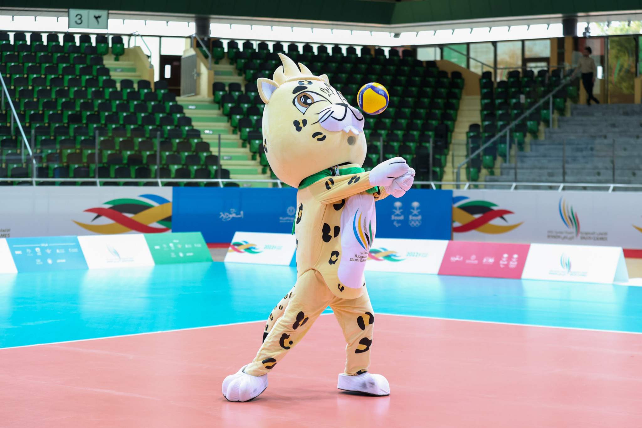 The Arabian leopard was caught taking some time playing volleyball ©Saudi Games