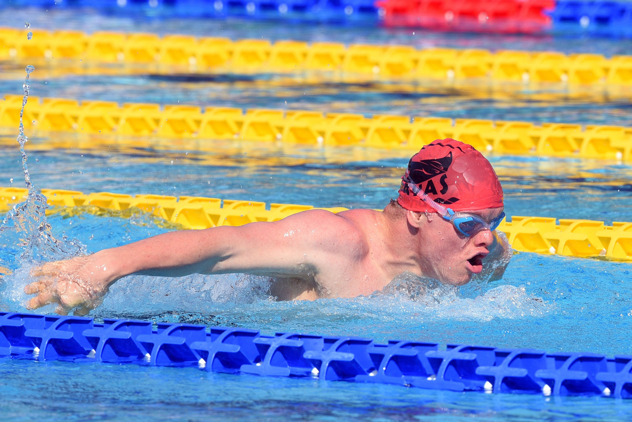 Swimming coach Lee Portingale has called for the rules on Down's syndrome swimmers at the Paralympics to be re-examined ©Getty Images