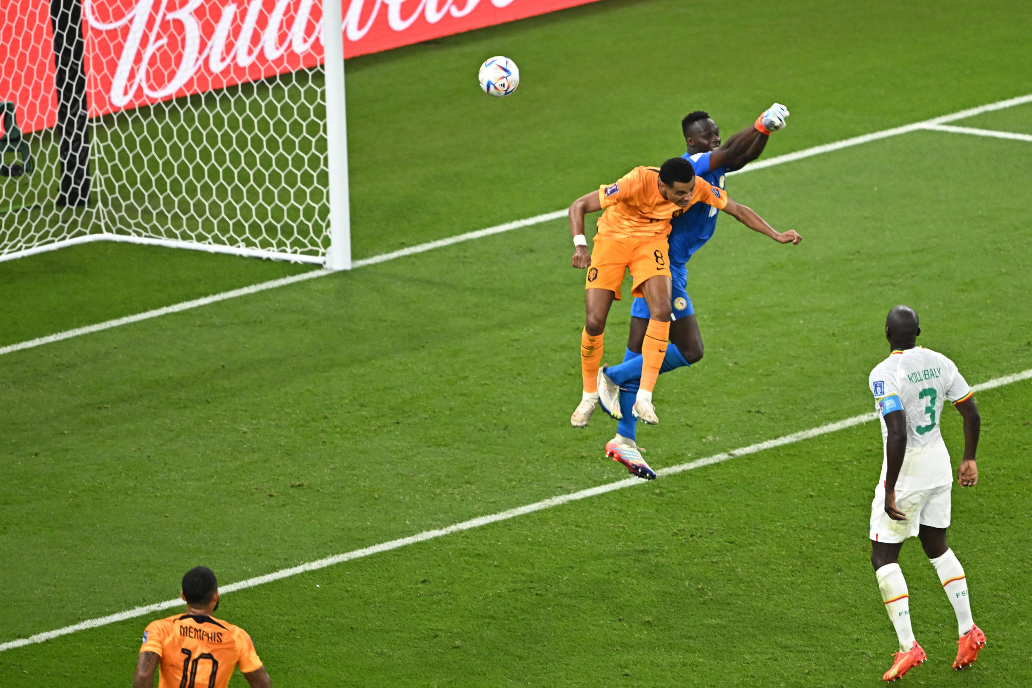 Cody Gakpo beat Senegalese goalkeeper Edouard Mendy to the ball to draw first blood for the Dutch after 84 minutes ©Getty Images