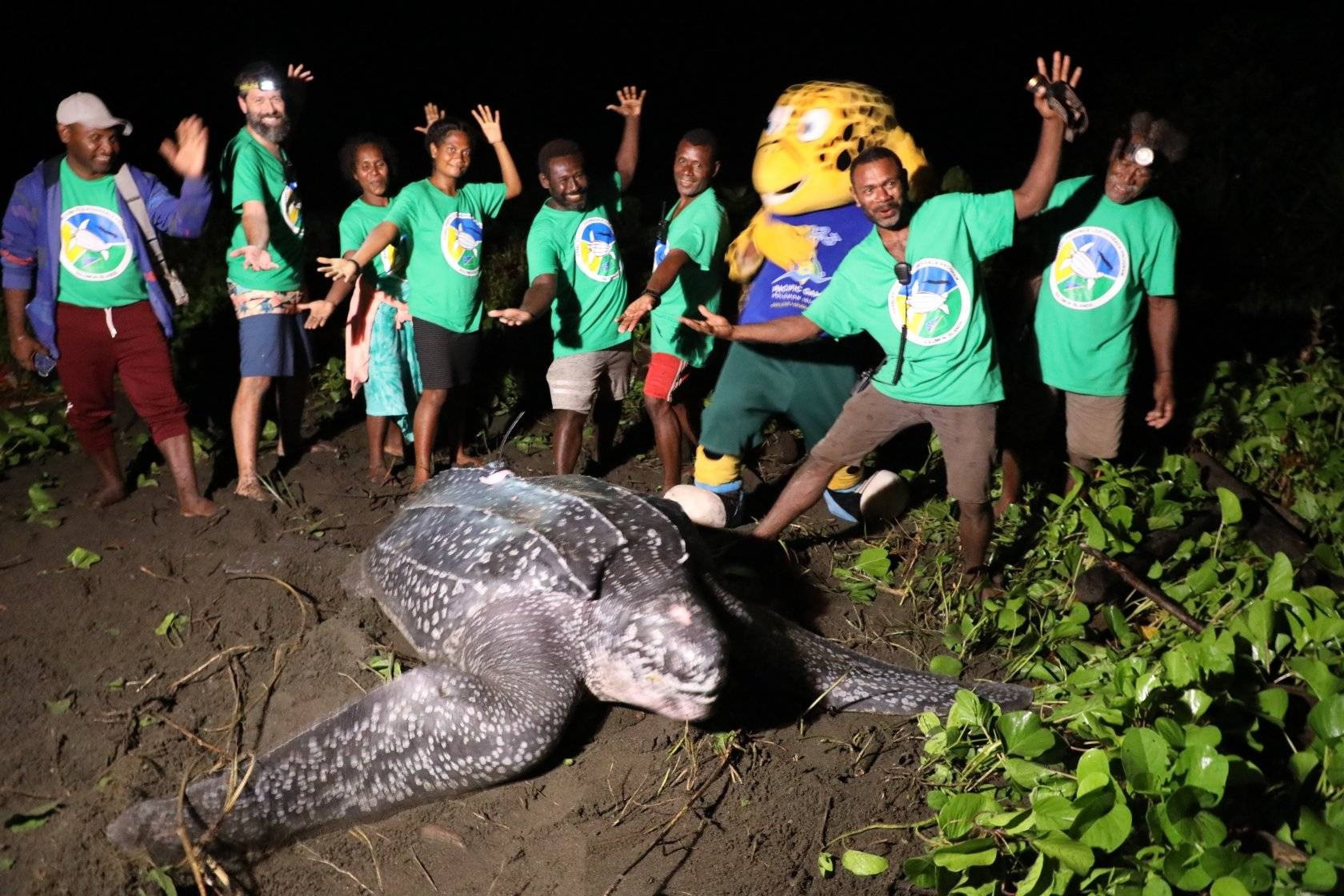 A team from Solomon Islands 2023 witnessed the satellite tagging of leatherback turtles ©Facebook/Sol2023