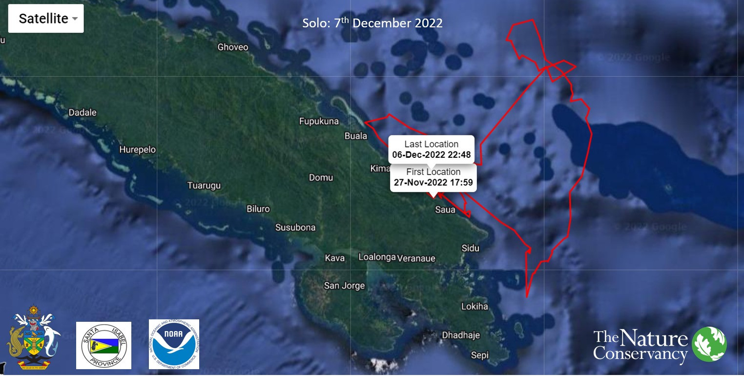 Rangers can now track the leatherback turtle Solo's movements ©Facebook/Sol2023