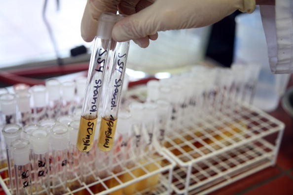 Spain and Mexico have each been declared non-compliant with the World Anti-Doping Code ©Getty Images