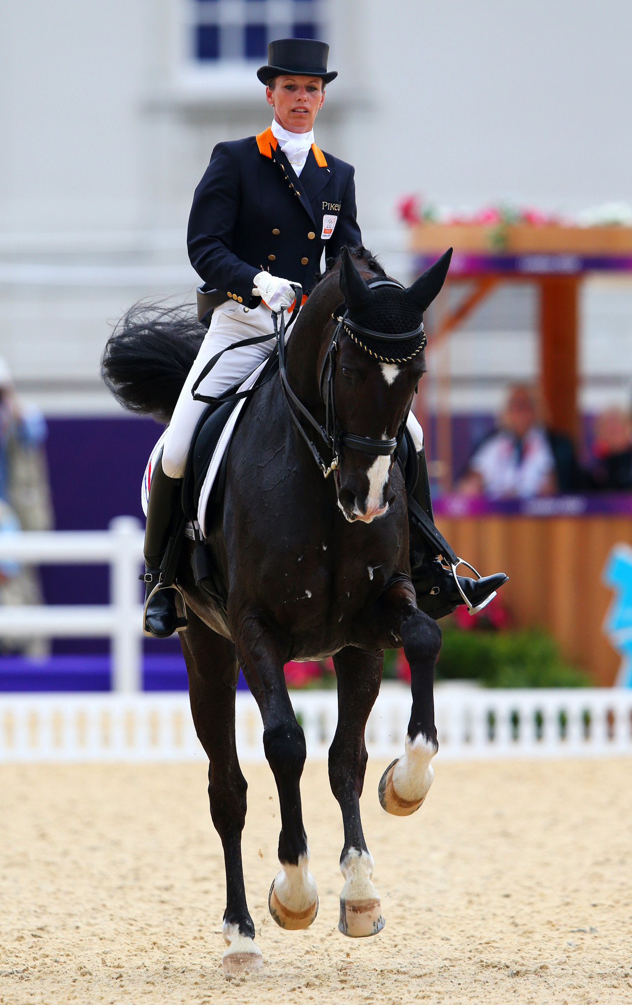Salinero was retired by Anky van Grunsven shortly after winning his fourth Olympic medal, a bronze at London 2012 ©Getty Images 