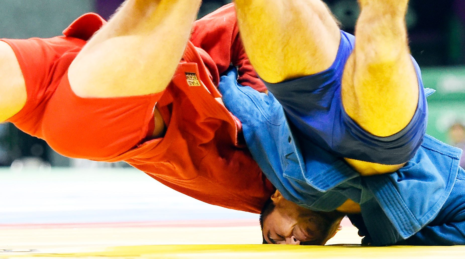 Russia holds sambo and judo winter training camp with allied countries