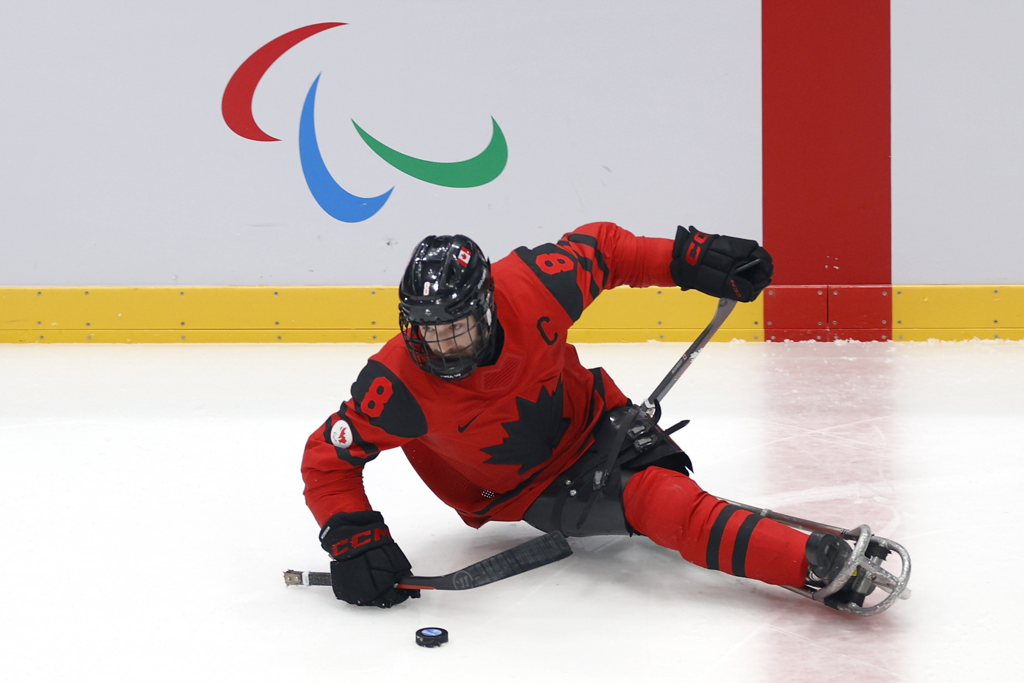 Para ice hockey player Tyler McGregor has been named on the Canadian Paralympic Athletes' Council ©Getty Images