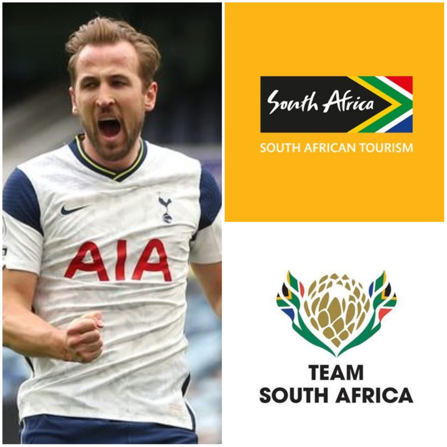 The South African Sports Confederation and Olympic Committee has joined opposition to South African Tourism's proposed sponsorship deal with English Premier League football club Tottenham Hotspur ©Getty Images, South African Tourism and SASCOC