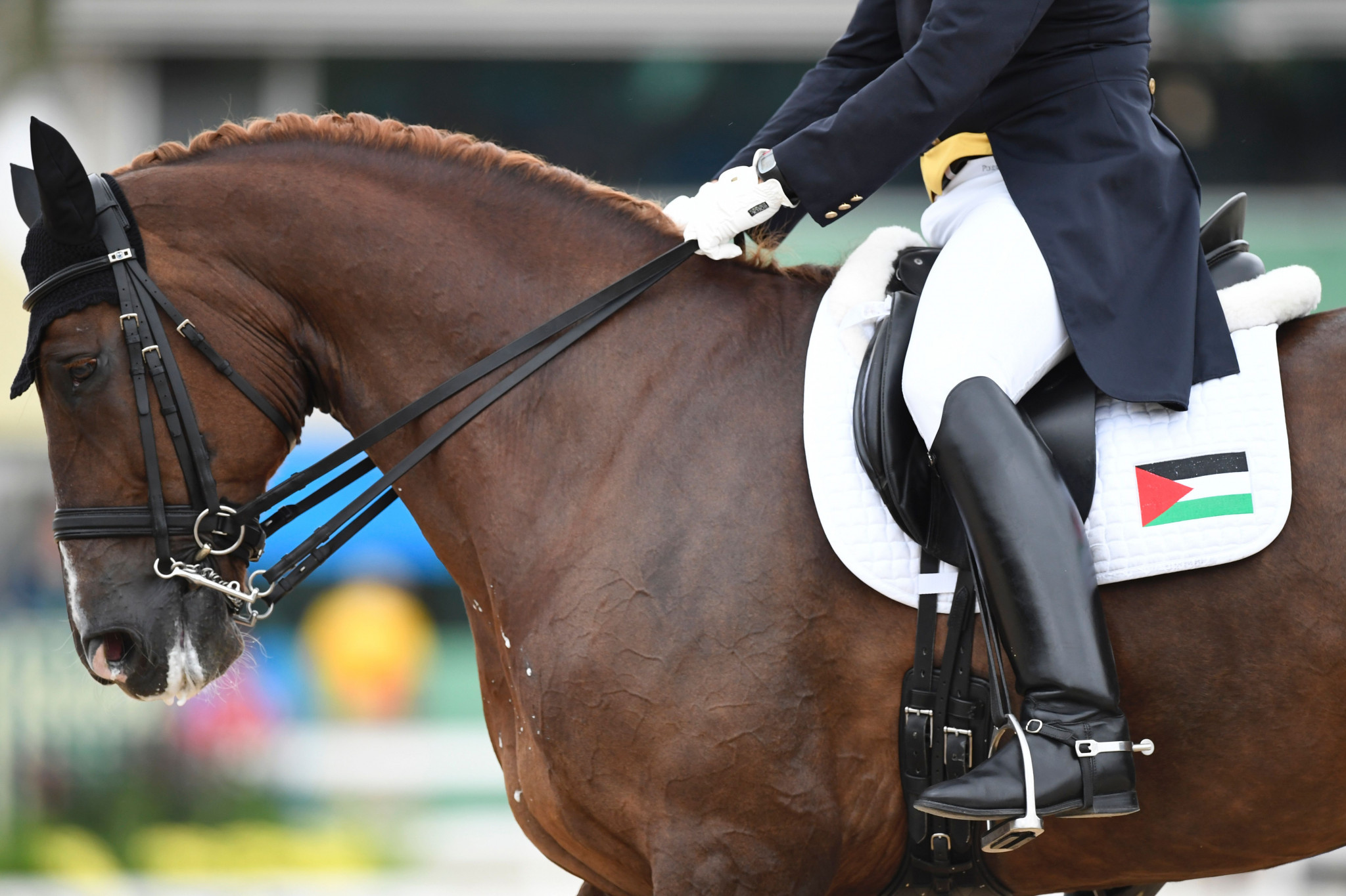 Christian Zimmermann is the only athlete who has represented Palestine in equestrian at the Olympics to date ©Getty Images