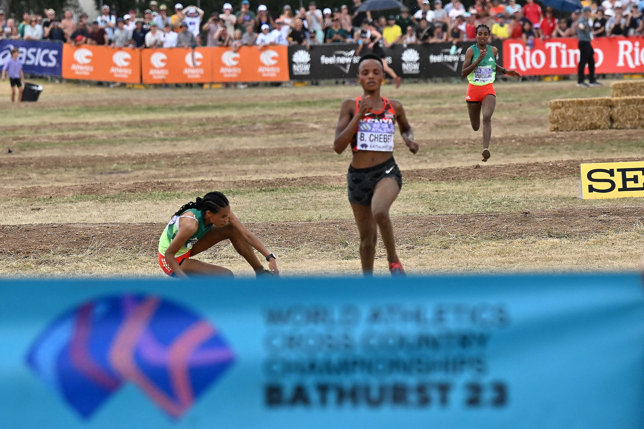 Gidey collapses within sight of gold and Kiplimo triumphs in gruelling World Cross Country Championships