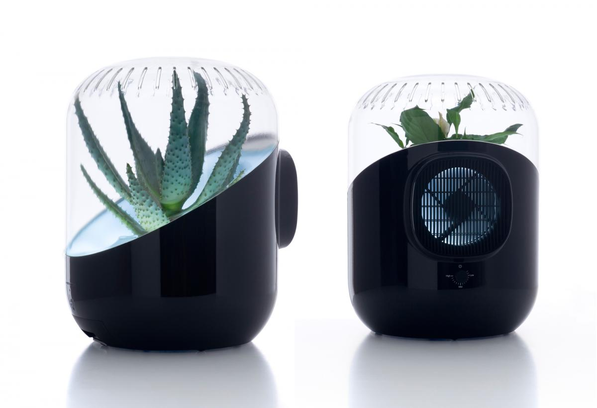 Mathieu Lehanneur's best known works include a plant home air filtration system created in partnership with Harvard University Bureau Mathieu Lehanneur