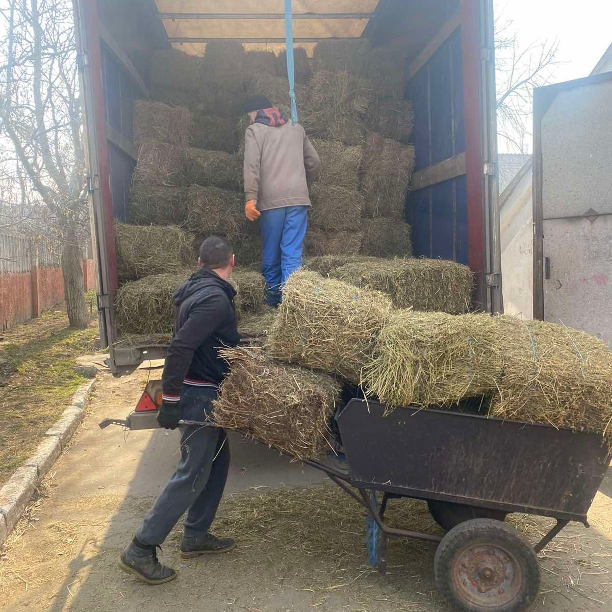The aid delivered has included hay and also money to buy fuel for heating stables ©EEF