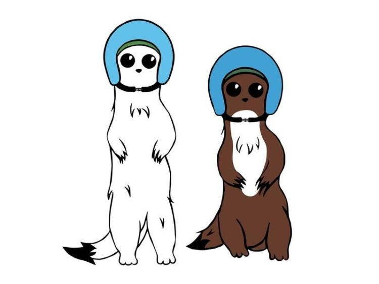 Public give backing to pair of stoats to be mascots for Milan Cortina 2026