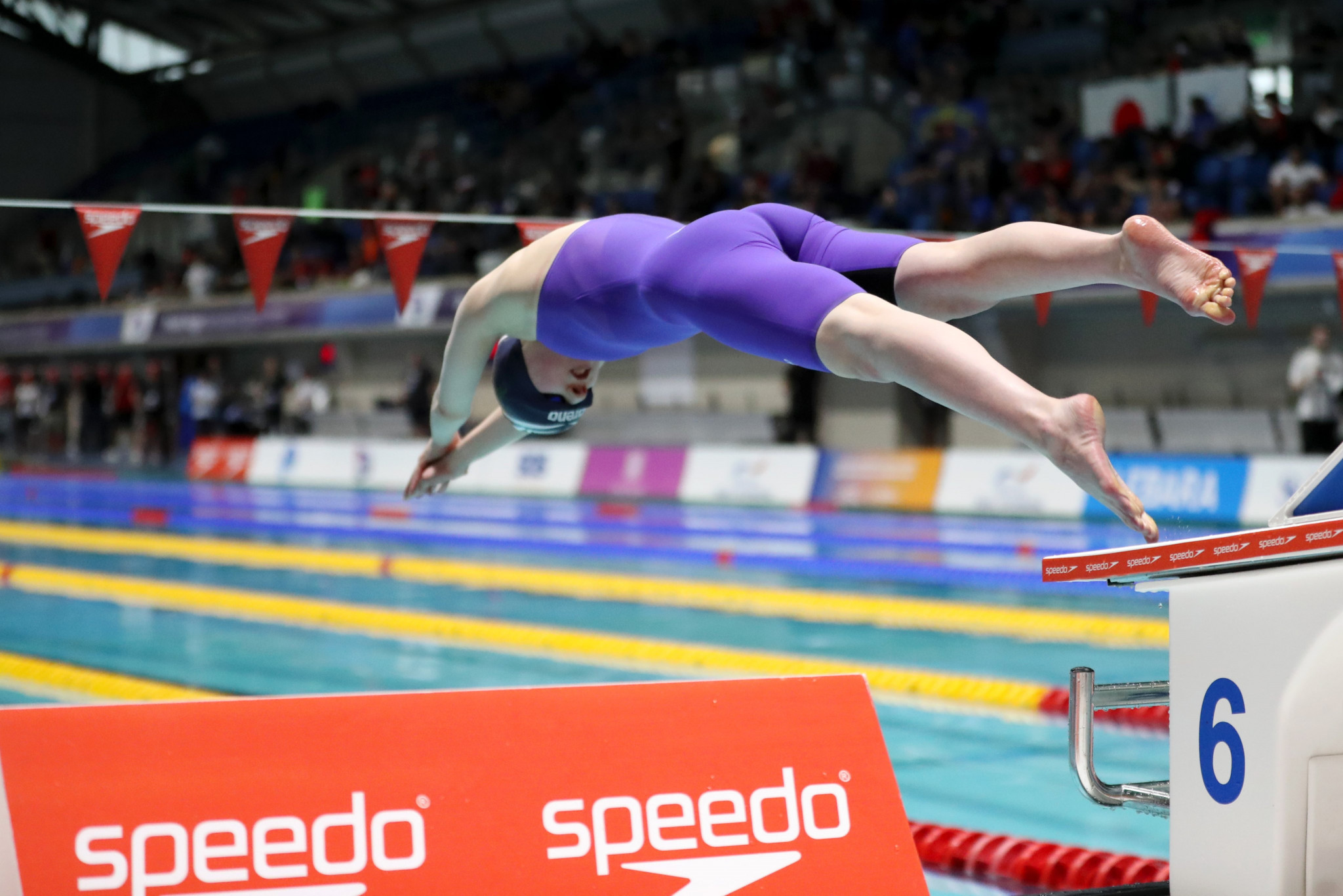 The British Para swimming team secured seven golds at the Para Swimming World Series round in Sheffield ©British Swimming