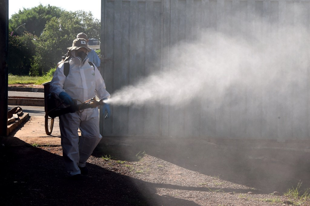 Eradicating mosquitoes is seen as the best defence against Zika