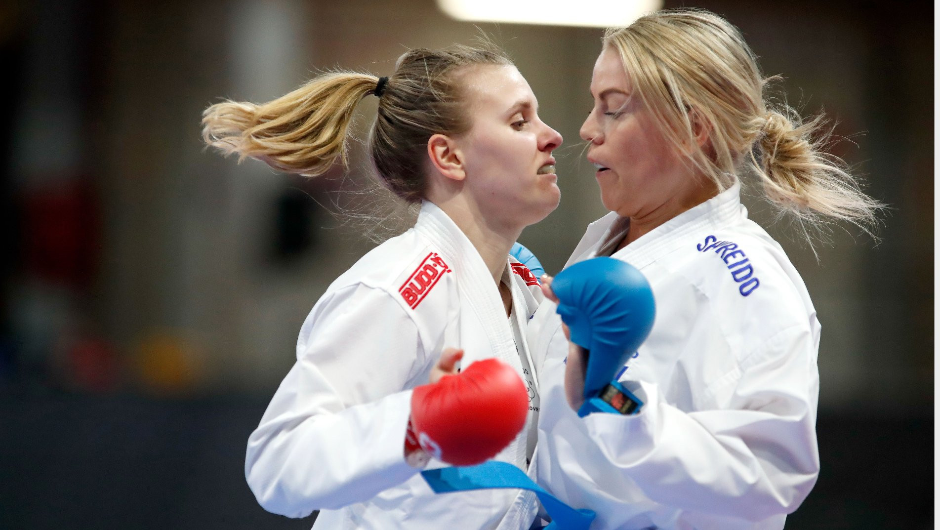 Germany topped the medals table at the EKF Senior Championships in Spain ©WKF