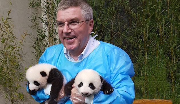 The International Olympic Committee has made a donation of $50,000 to a giant panda breeding centre in China ©IOC