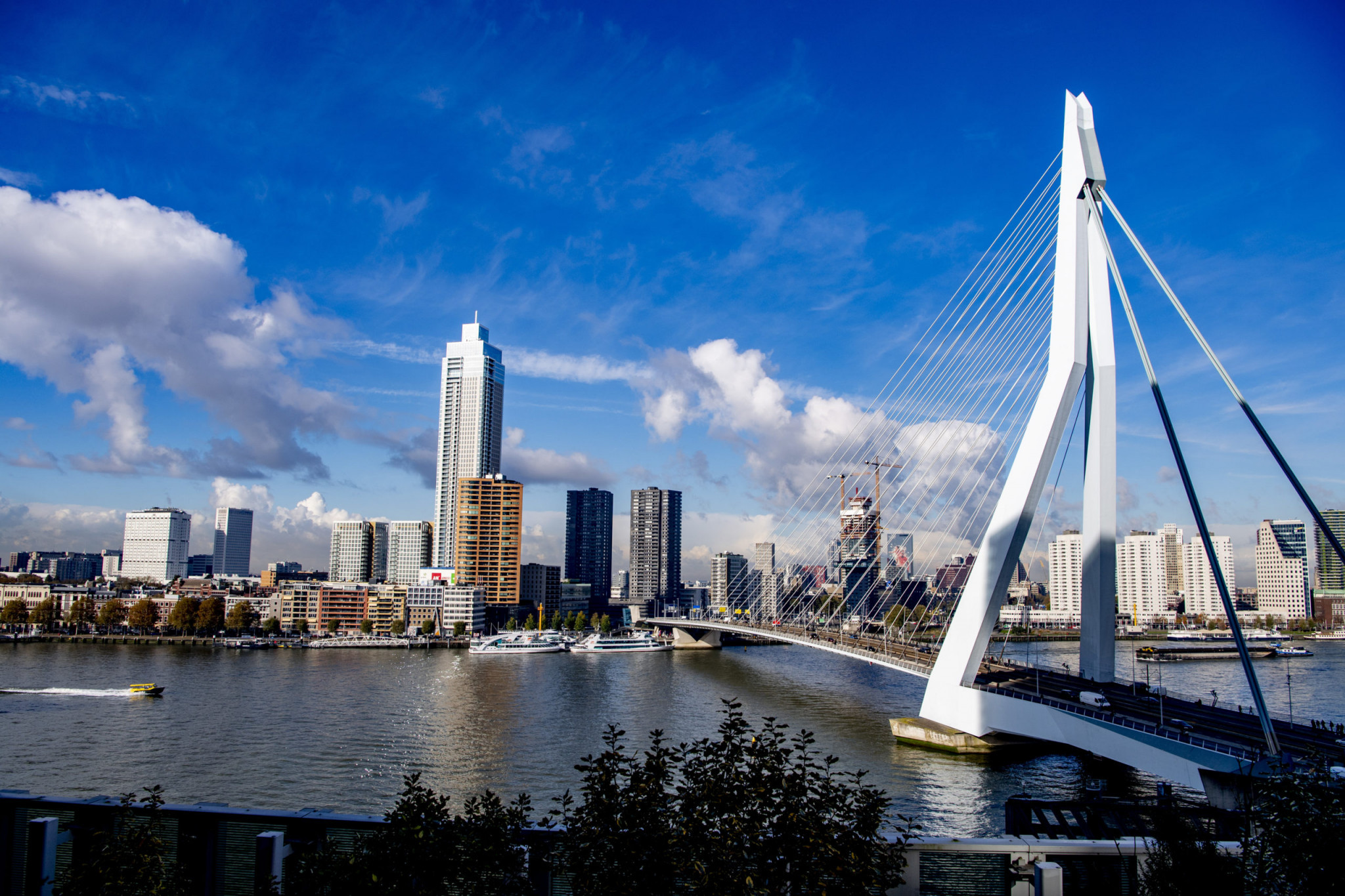 Rotterdam is due to host the first edition of the European Para Championships from August 8 to 20 ©EPC