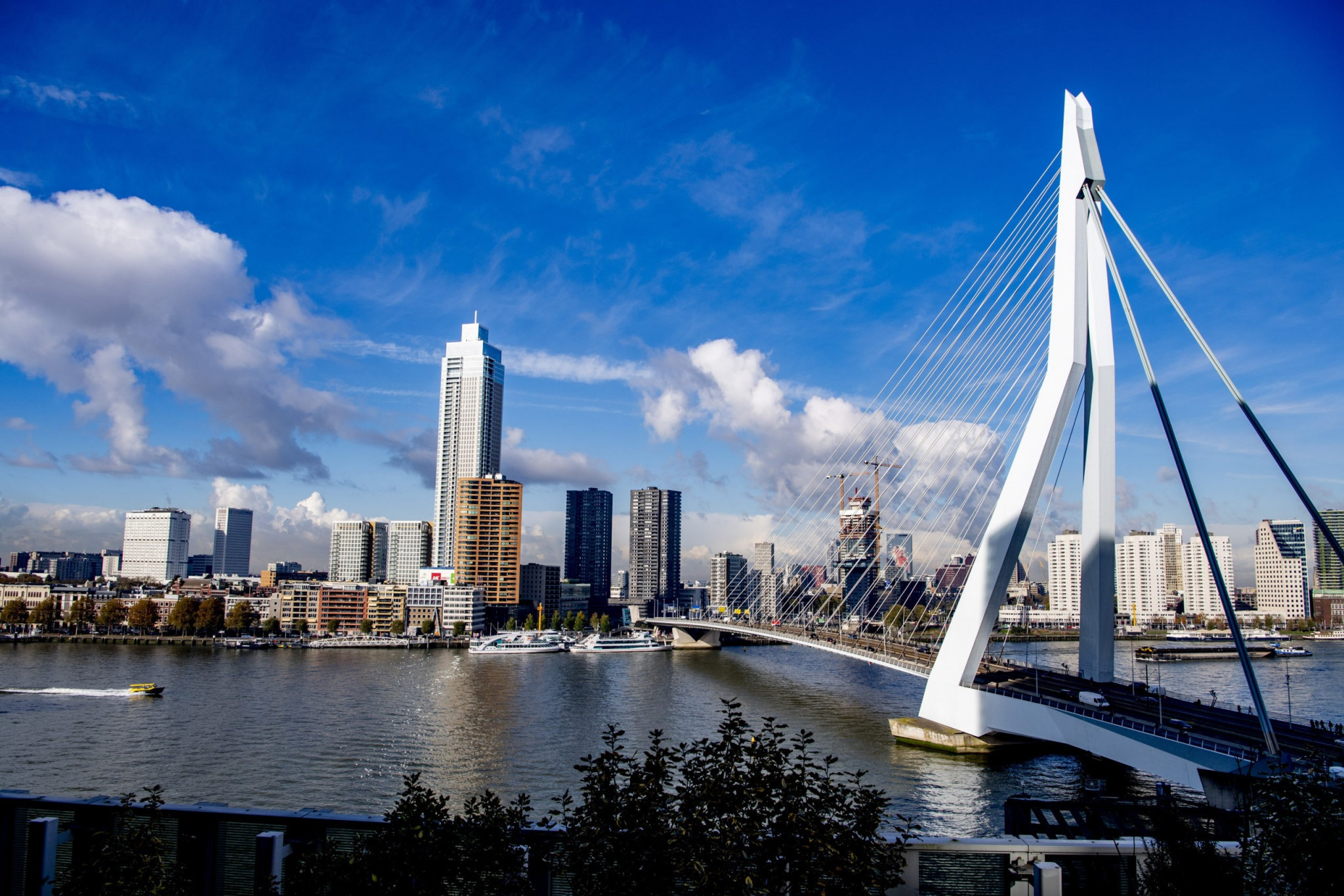 Rotterdam is due to stage the first-ever European Para Championships in August ©European Para Championships
