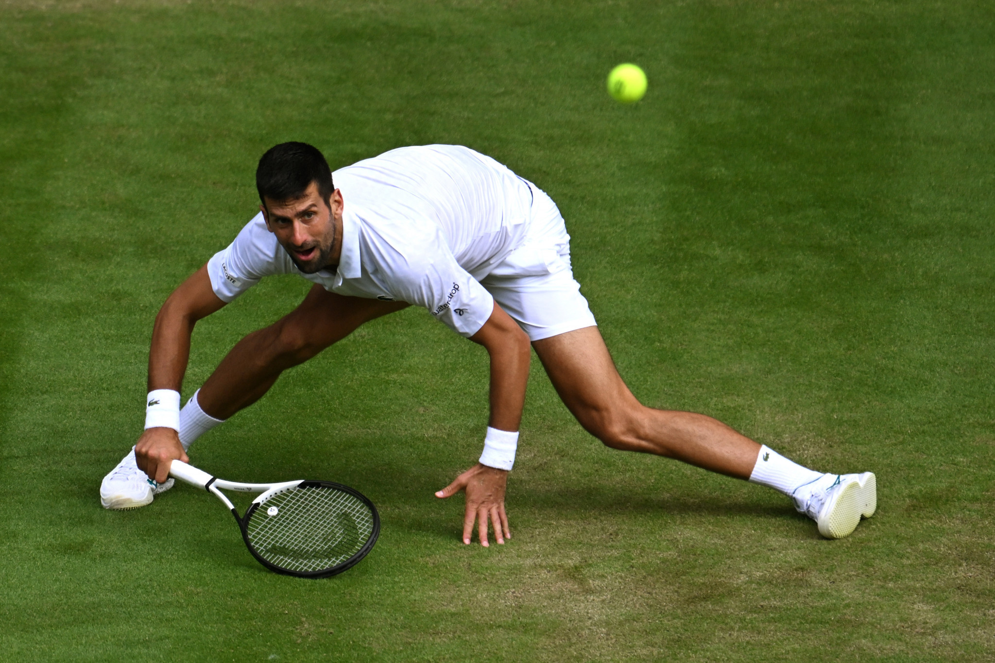 Novak Djokovic reached the semi-finals as he continues his bid for an eighth Wimbledon men's singles title ©Getty Images  