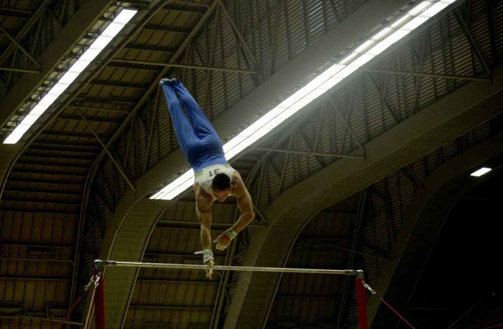 Slovenia's Alen Dimic delivered a gold medal for the host nation by winning the parallel bars event