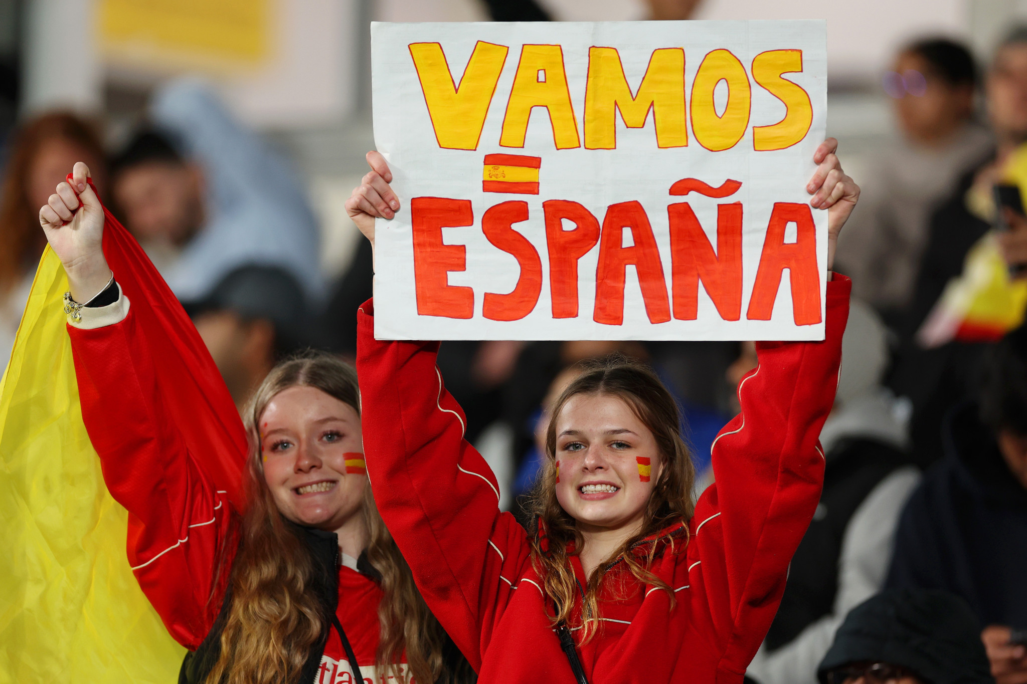 Spain fans with banners during the World Cup semi-final against Sweden ©Getty Images 