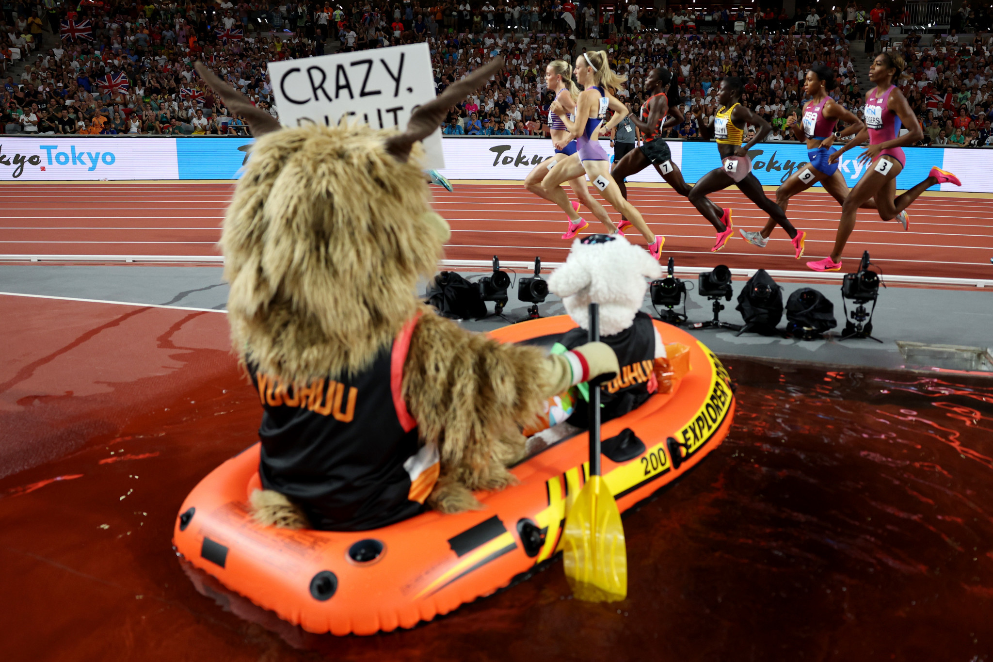 Championships mascot Youhuu, a Hungarian racka sheep, has proved a hit for eccentric behaviour and encouraged crowd support from the steeplechase pool during the women's 800m final ©Getty Images