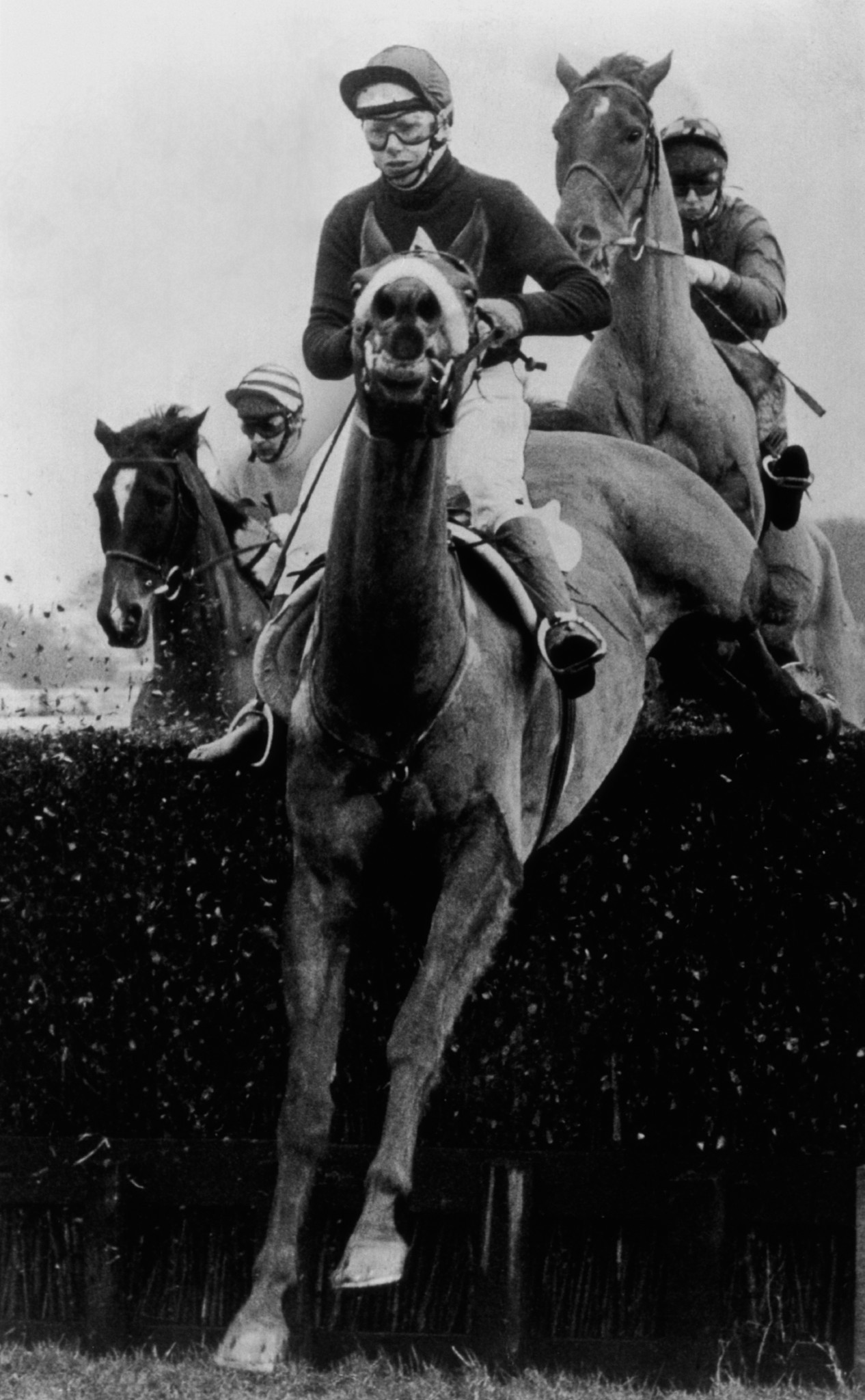 Red Rum's late run at the 1973 Grand National deprived Crisp of a famous victory in Liverpool ©Getty Images