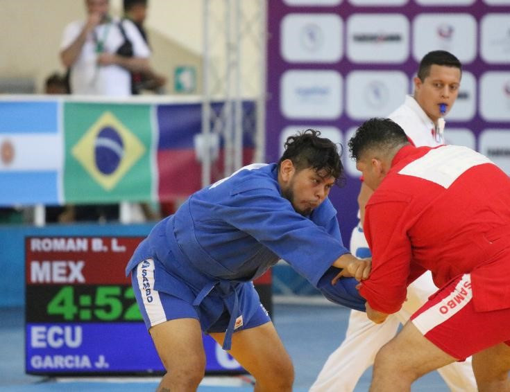 A total of 22 countries took part in the Pan American Sambo Championships in Santo Domingo ©FIAS