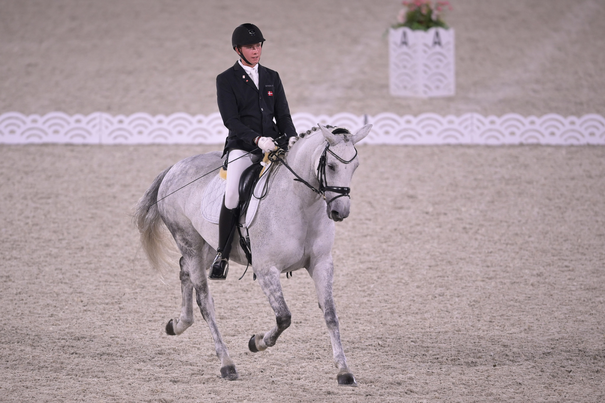 Dresing claims home freestyle gold at Para Dressage European Championships