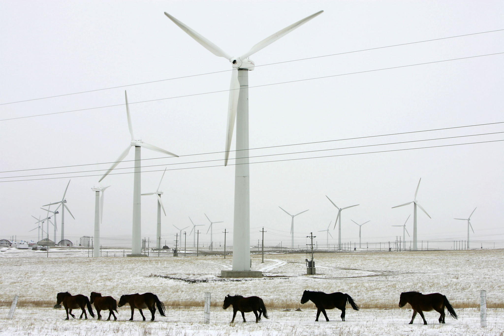 Wind and solar energy from inner Mongolia is helping to achieve Hangzhou 2022's carbon-neutral aim ©Getty Images