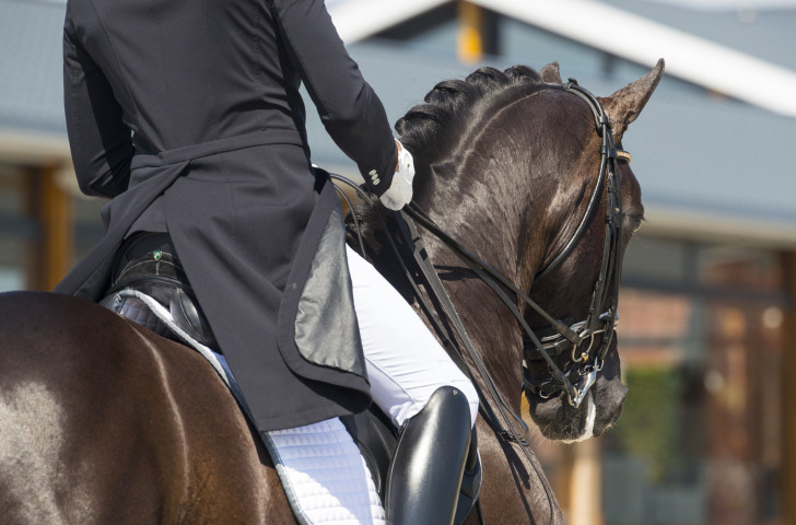 Frederic Wandres triumphs in second leg of FEI Dressage World Cup Western European League