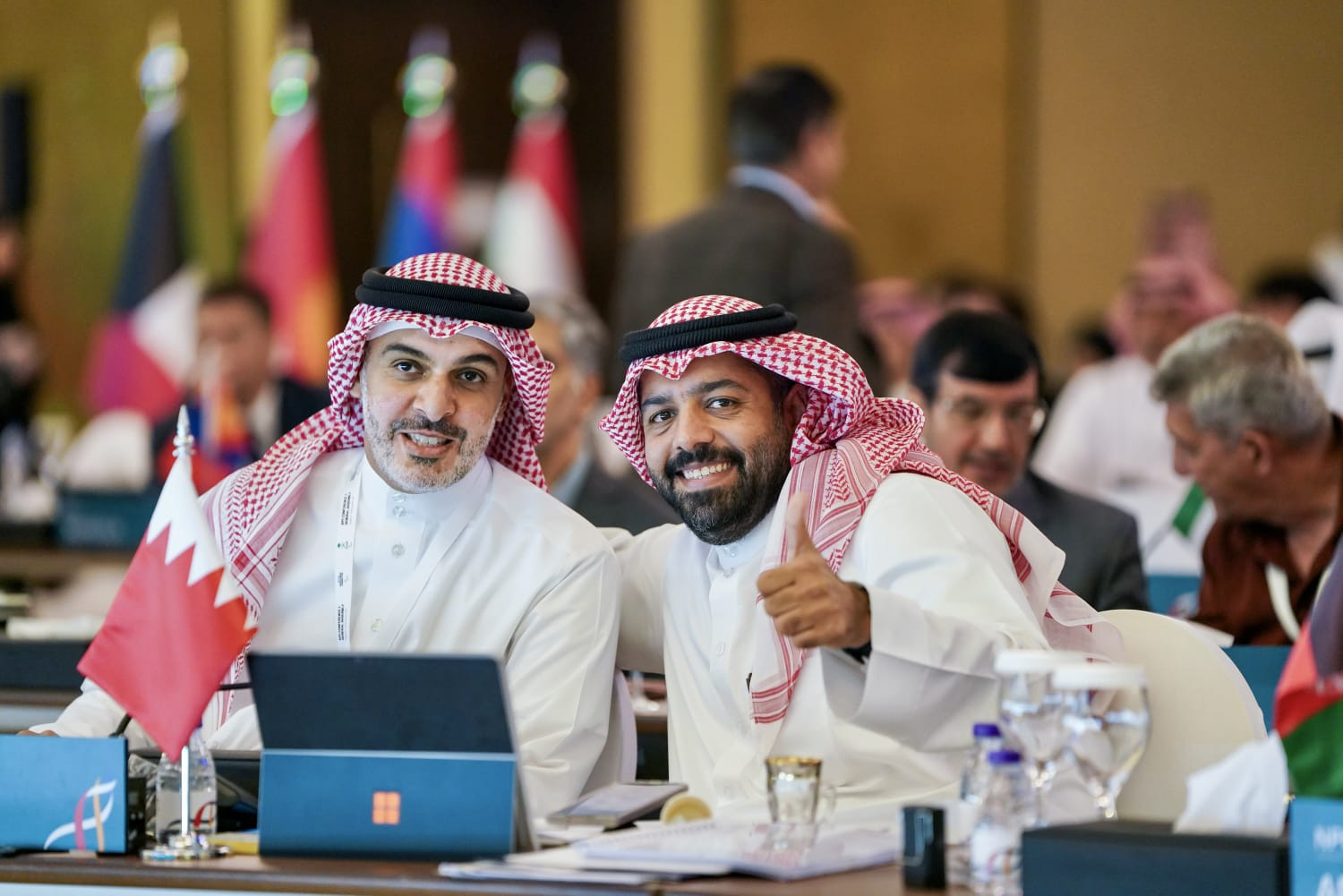 Mohammed bin Daij Al Khalifa's membership in the Asian Paralympic Committee 