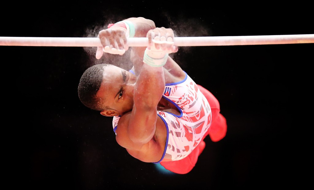 A record 594 gymnasts from 87 nations took part at the 2015 World Gymnastics Championships